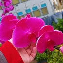 大连旅游 缩略图 6