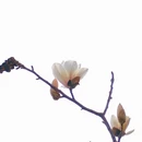大连旅游 缩略图 8