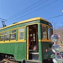 大连旅游 缩略图 1