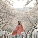 青岛旅游 缩略图 1