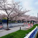 无锡旅游 缩略图 3