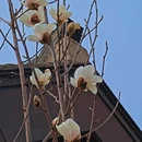 大连旅游 缩略图 9