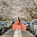 青岛旅游 缩略图 5