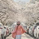 青岛旅游 缩略图 4