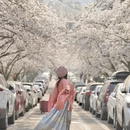 青岛旅游 缩略图 3