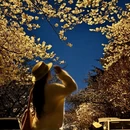 青岛旅游 缩略图 6