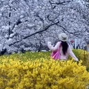 青岛旅游 缩略图 8