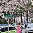 青岛旅游 缩略图 2