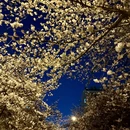 青岛旅游 缩略图 11