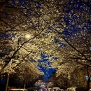青岛旅游 缩略图 12