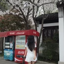 南京旅游 缩略图 5