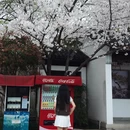 南京旅游 缩略图 4
