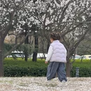 青岛旅游 缩略图 13