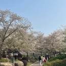 武汉旅游 缩略图 2