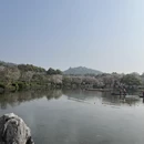 武汉旅游 缩略图 3