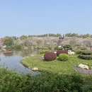 武汉旅游 缩略图 5
