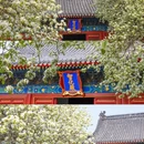 北京旅游 缩略图 5