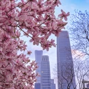 北京旅游 缩略图 6