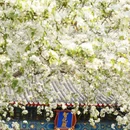 北京旅游 缩略图 2