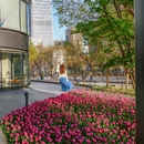 北京旅游 缩略图 7