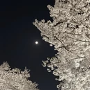 宁波旅游 缩略图 2