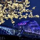 杭州旅游 缩略图 18