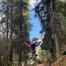 林芝旅游 缩略图 5