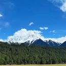 林芝旅游 缩略图 9
