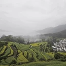 黄山旅游 缩略图 3
