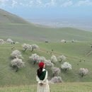 伊犁旅游 缩略图 9