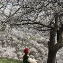 伊犁旅游 缩略图 13