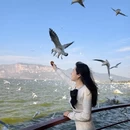 昆明旅游 缩略图 3