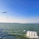 昆明旅游 缩略图 1
