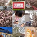 天津旅游 缩略图 1