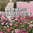 洛阳旅游 缩略图 1