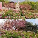 洛阳旅游 缩略图 4