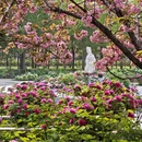 洛阳旅游 缩略图 5