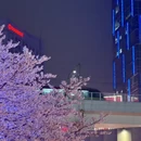 上海旅游 缩略图 2