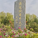 洛阳旅游 缩略图 17