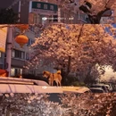 青岛旅游 缩略图 1