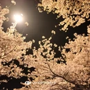 青岛旅游 缩略图 4