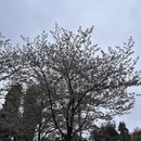 武汉旅游 缩略图 3