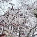 无锡旅游 缩略图 2