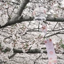 无锡旅游 缩略图 3