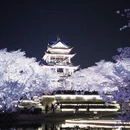 无锡旅游 缩略图 5