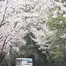 无锡旅游 缩略图 6