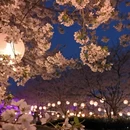 宁波旅游 缩略图 1