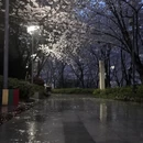 宁波旅游 缩略图 7