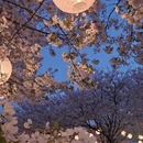 宁波旅游 缩略图 2