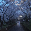 宁波旅游 缩略图 5